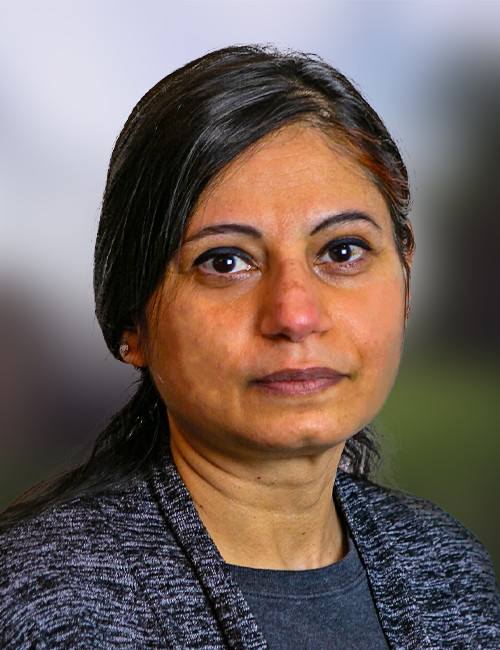 Shireen Ahmad 